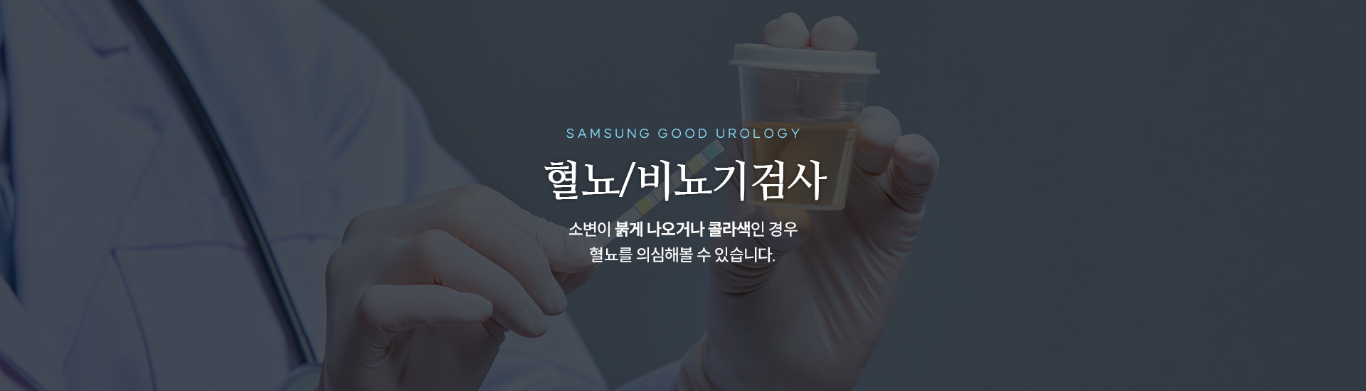 고환질환키비주얼