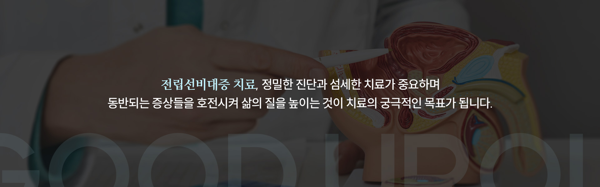 전립선비대증