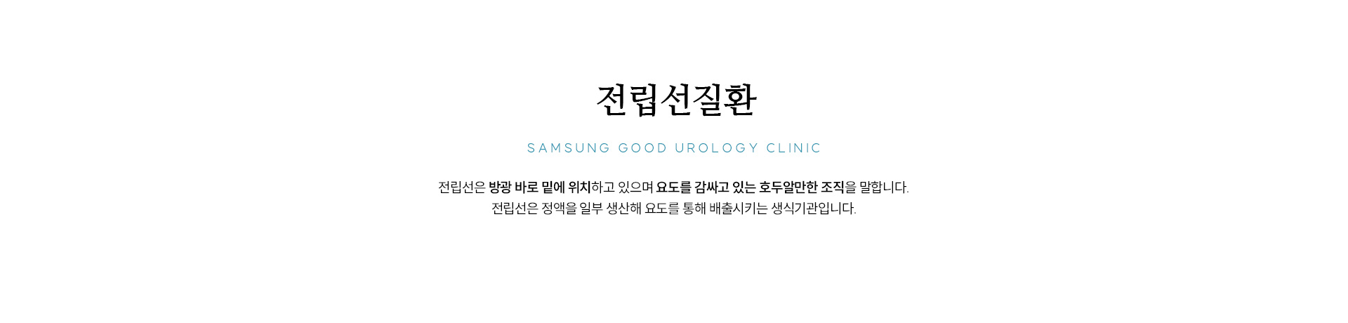 전립선질환
