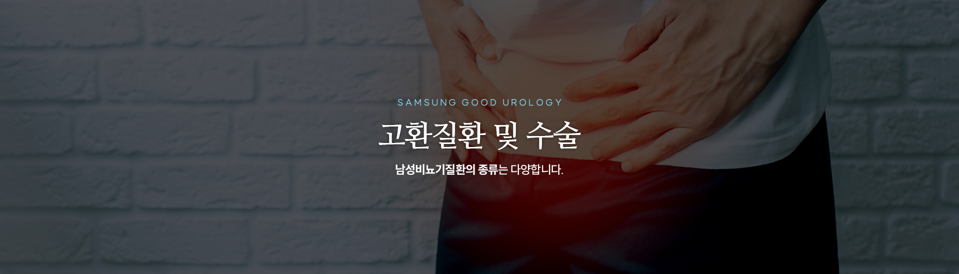 고환질환키비주얼
