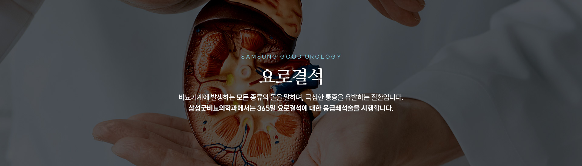 요로결석키비주얼